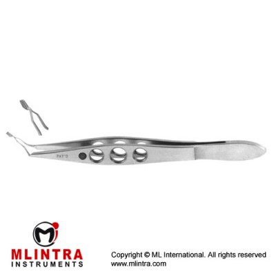 Ernest Nucleus Cracker Extra Delicate Cross Action Serrated Paddle Tips Stainless Steel, 11 cm - 4 1/4"